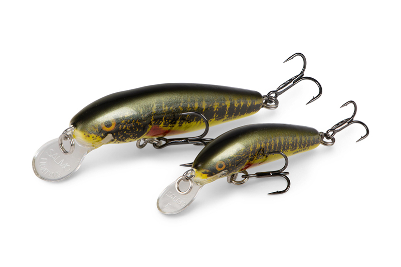 qmw236-237_minnow-020_studiojpg
