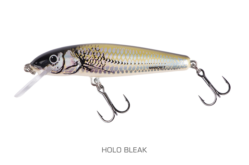 qmw238-239_minnow-001_mainjpg