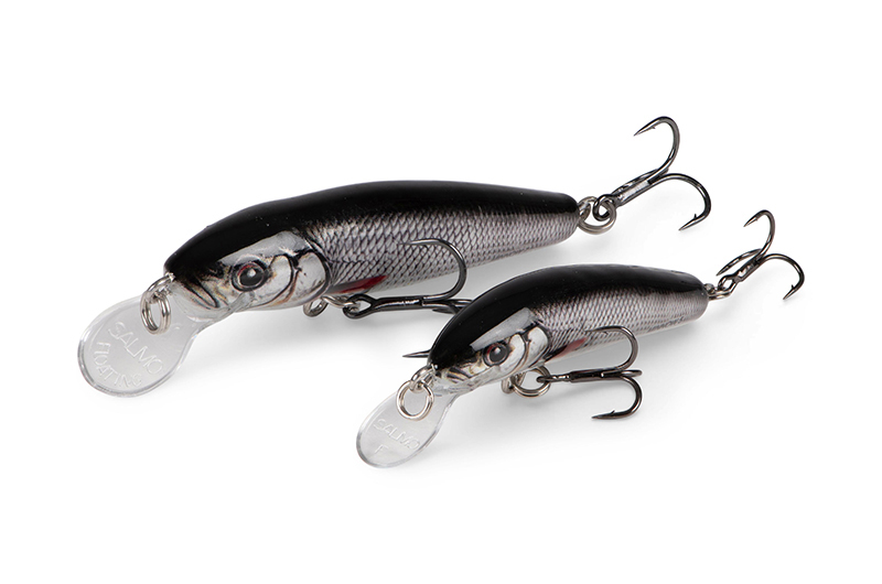 qmw248-249_minnow-020_studiojpg