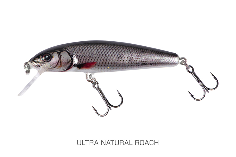 qmw248-249_minnow-001_mainjpg