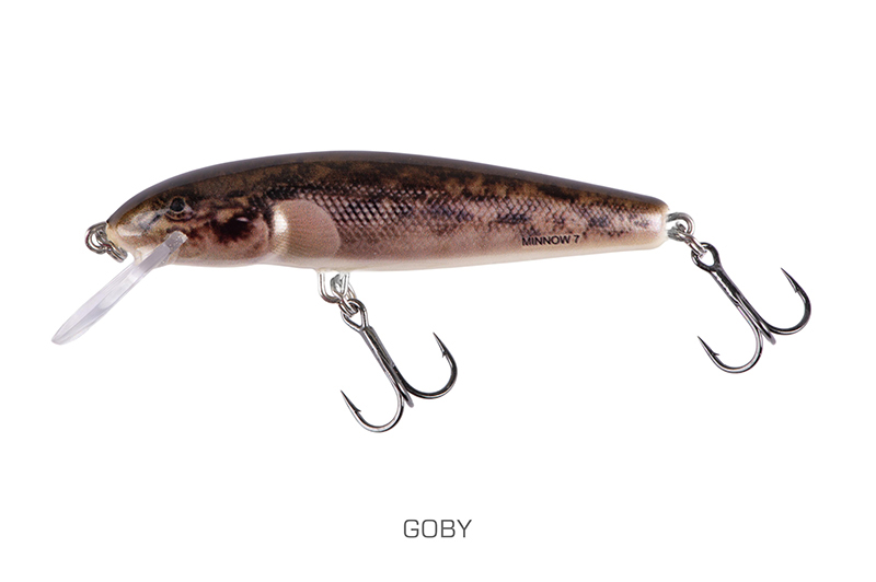 qmw246-247_minnow-001_mainjpg