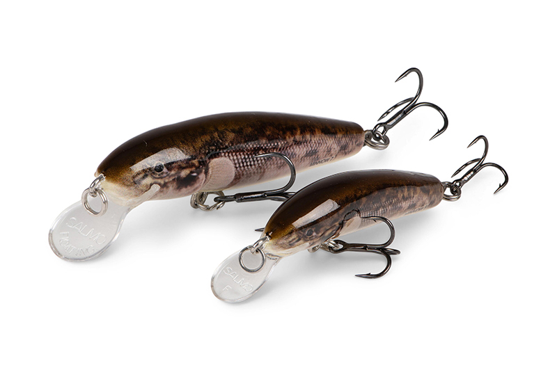 qmw246-247_minnow-020_studiojpg