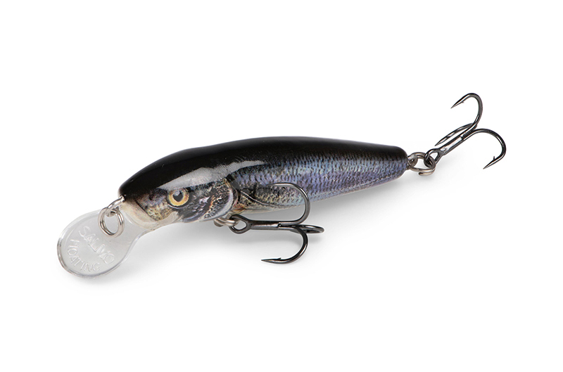 qmw244-245_minnow-020_studiojpg