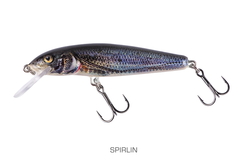 qmw244-245_minnow-001_mainjpg
