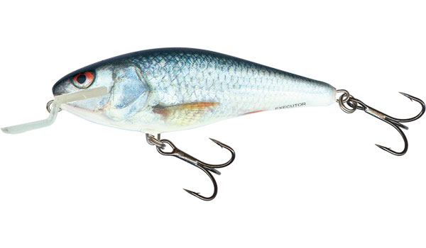 Executor 5 Shallow Runner Real Dace