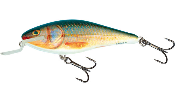 Executor 12 Shallow Runner Real Roach